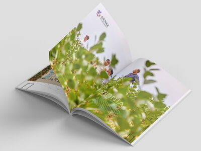 /assets/images/2/werbung-am-inn_agentur-gutgemacht05-q1vwdmkep3q3khk.jpg