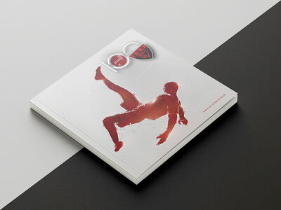 /assets/images/7/werbung-am-inn-printmedien-sk-schaerding-01-wzpndwpg8qyyvn0.jpg