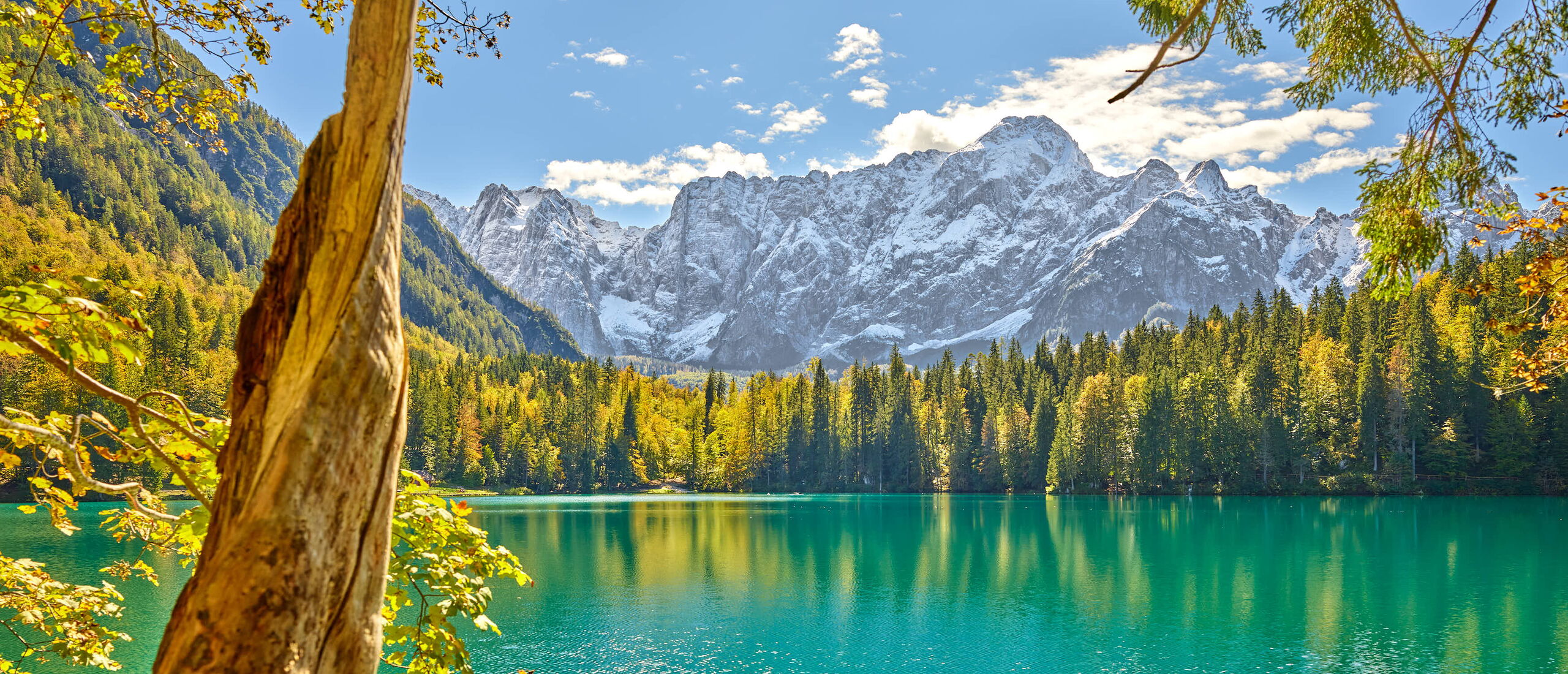 /assets/images/9/landschaftsfotografie-werbung-am-inn-seeufer-8f9gast2g0f40en.jpg