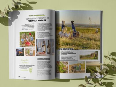 /assets/images/e/werbung-am-inn_schaerding-magazin-12-05-ww4xtb23z190kkr.jpg