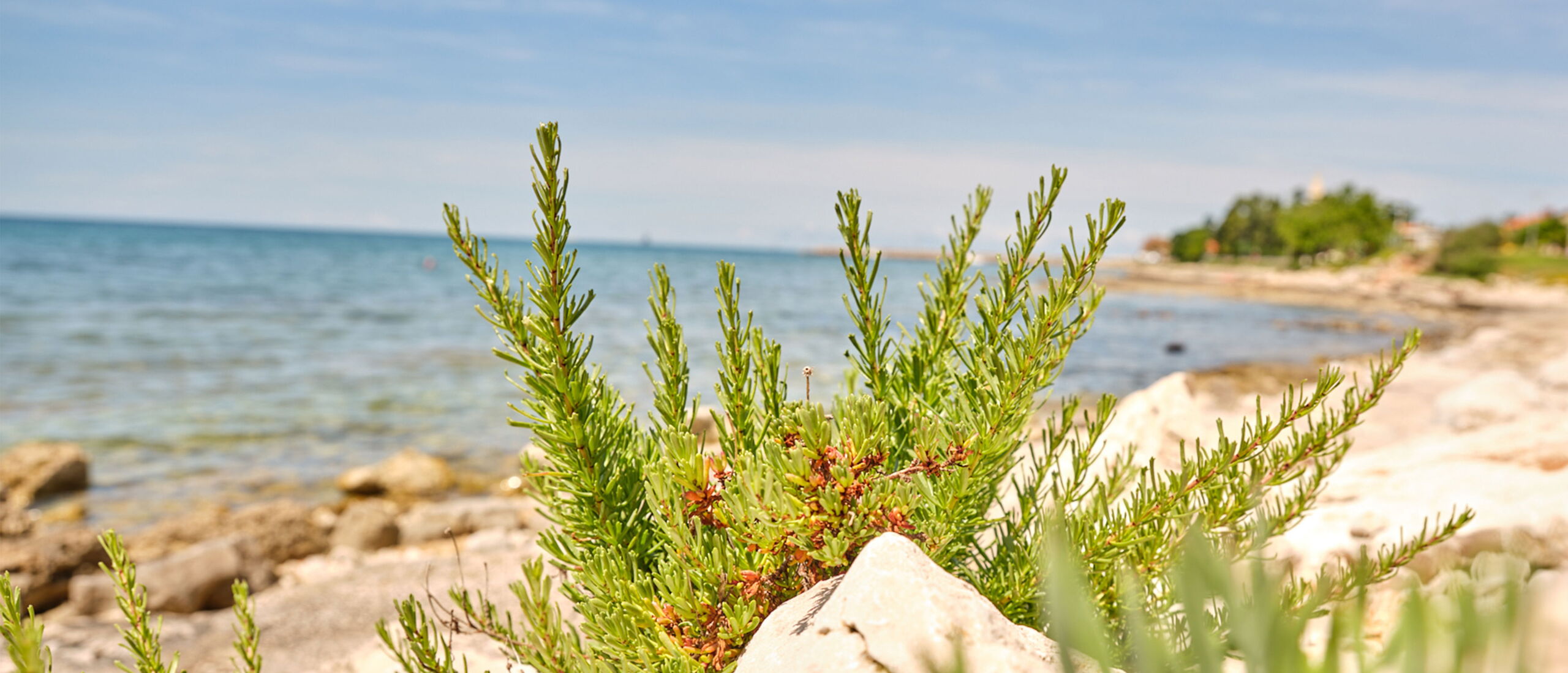 /assets/images/w/landschaftsfotografie-werbung-am-inn-meer-kroatien-z44qhhd3b3tn9yz.jpg