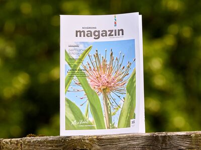 /assets/images/x/werbung-am-inn-agentur-schaerding-magazin-16-01-be0zqdq02mg9ae9.jpg